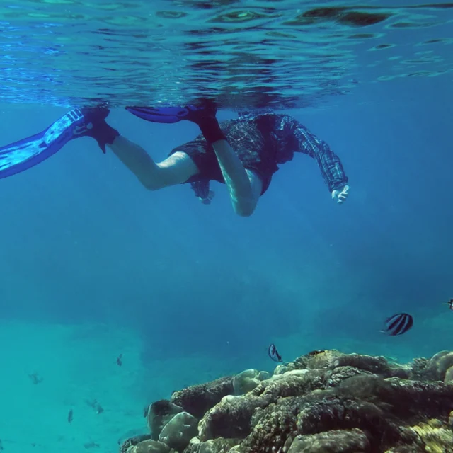 Virtuelle Welten unter Wasser erleben